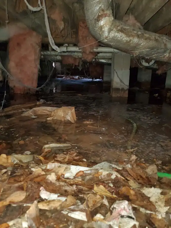 Crawl space flood assessment for Leak Detection & Repair in Wantage